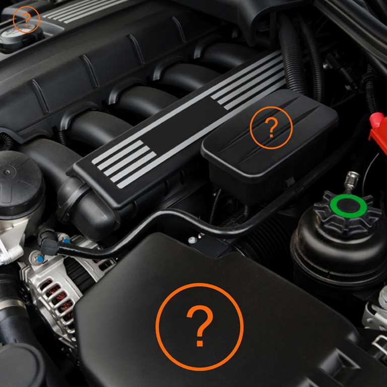 Die richtige Platzierung der Zutaten im Motorraum Rohe Hähnchenbrust mit Gewürzen auf Holzbrett
